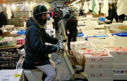 Pasar Tsukiji di Jepang, Serunya Berwisata di Pasar Ikan Terbesar di Dunia